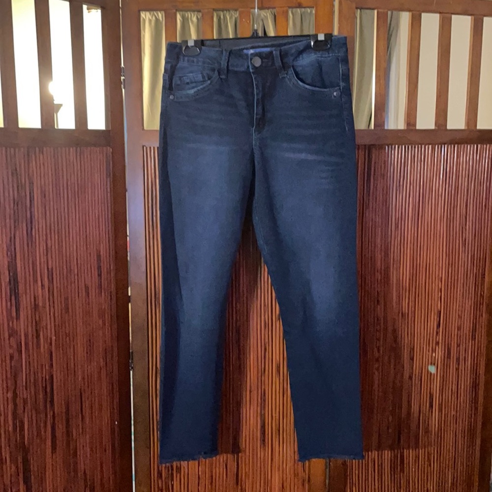 Democracy Jani Seamless Frayed Hem Skinny Jean